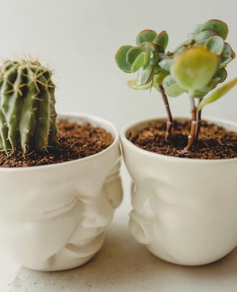 Kissing planter 可愛表情陶瓷器皿