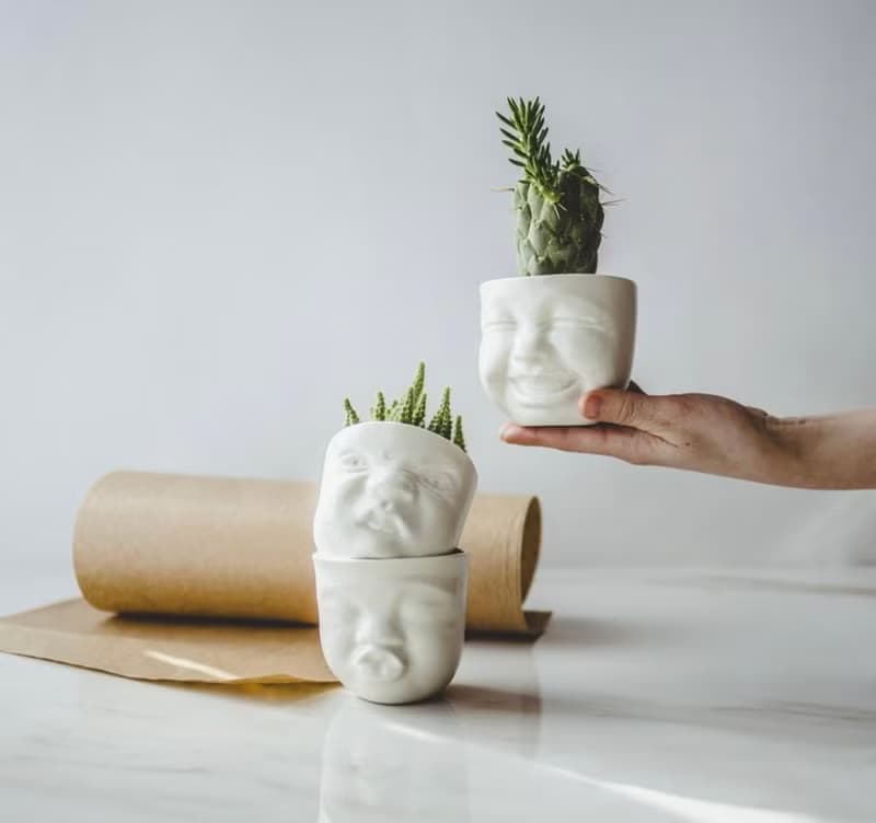 Kissing planter 可愛表情陶瓷器皿