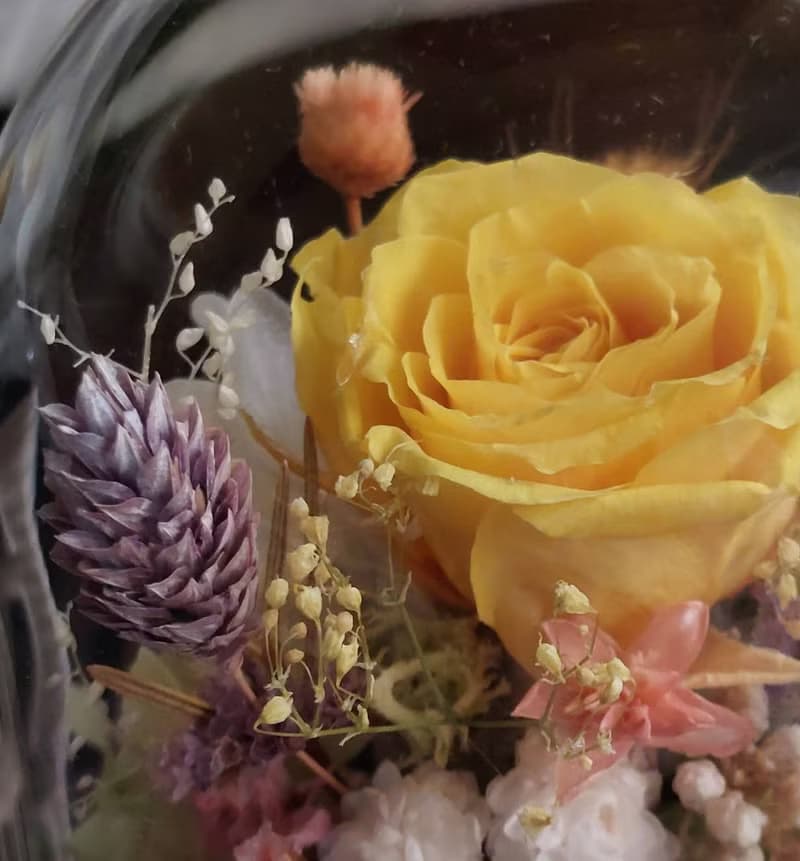 溫帶花園 永生花玻璃罩.花盅 祝賀花禮 生日.情人節.母親節.畢業