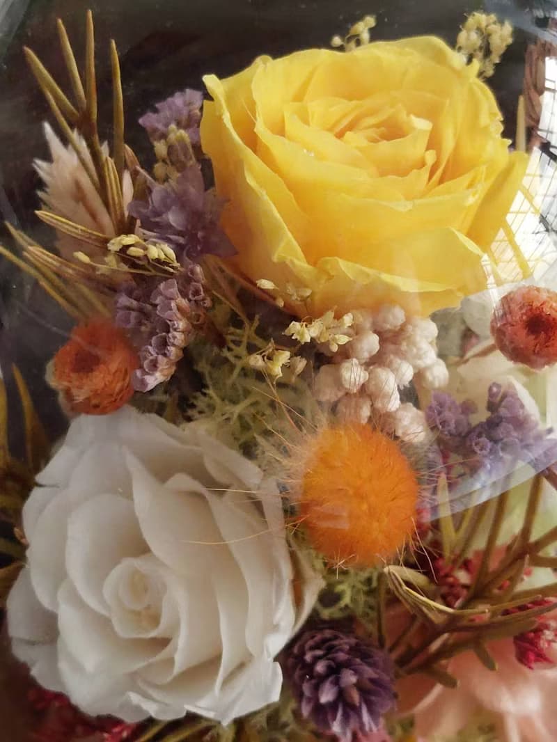 溫帶花園 永生花玻璃罩.花盅 祝賀花禮 生日.情人節.母親節.畢業