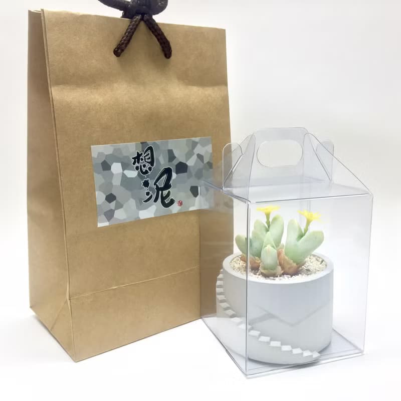 仿生黏土多肉植物 番杏科 少將