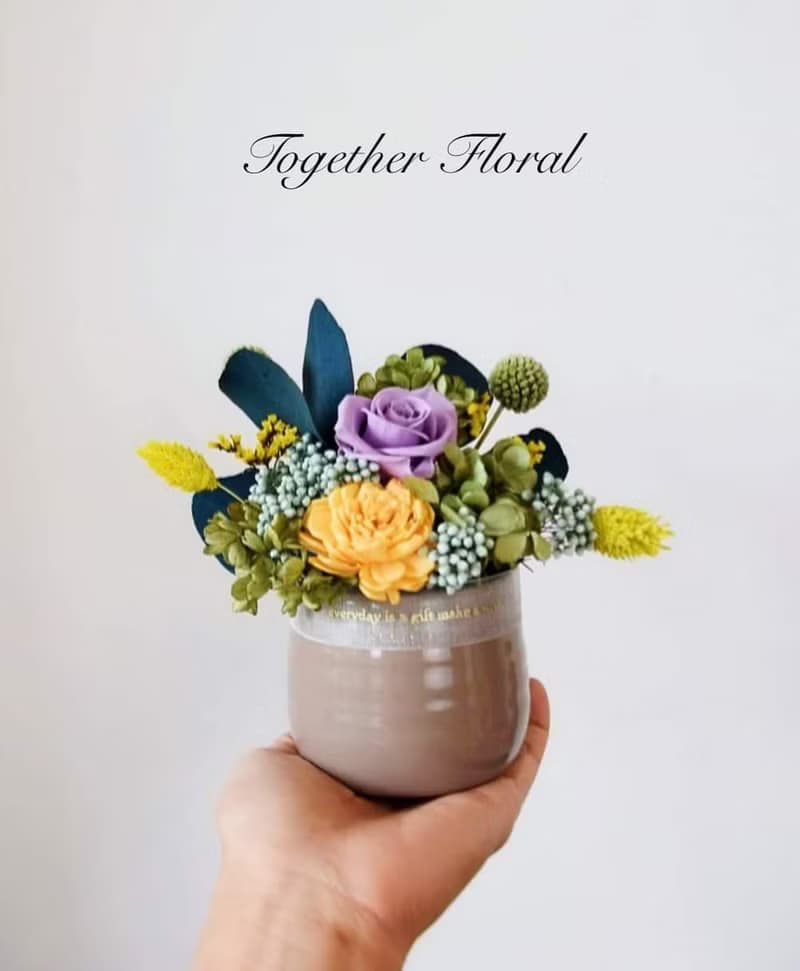 永生玫瑰小盆花