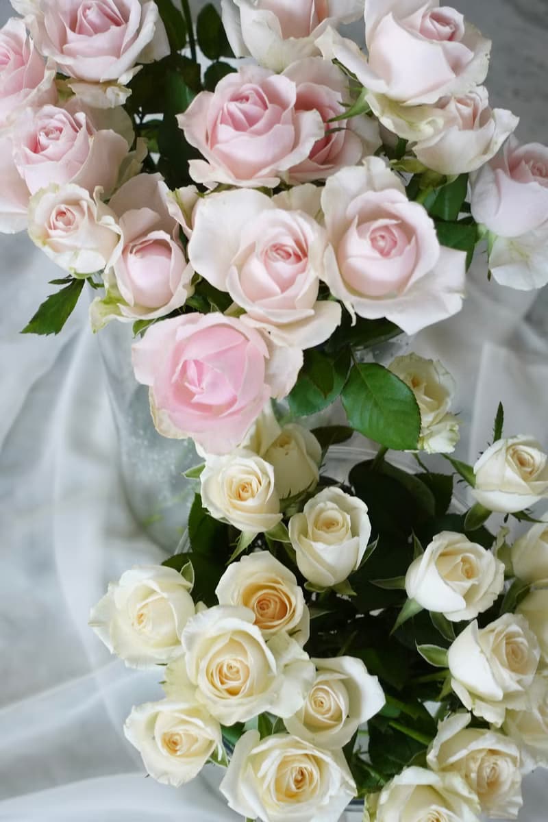 玫瑰花束  韓式花束  生日花束 女友禮物 求婚花束