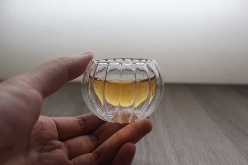 雙層玻璃隔熱透明杯 品茶杯 南瓜條紋杯 (兩入) 交換禮物