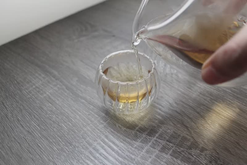 雙層玻璃隔熱透明杯 品茶杯 南瓜條紋杯 (兩入) 交換禮物