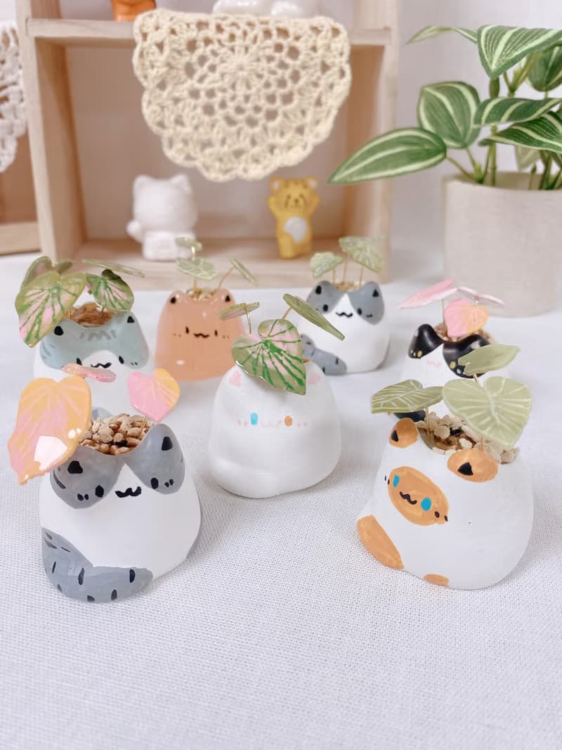 植喵系列  彩葉芋喵