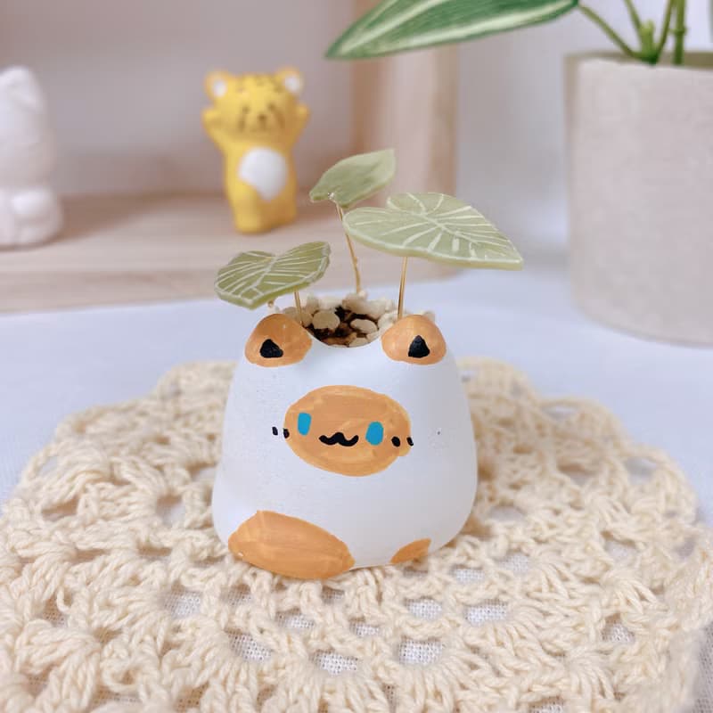 植喵系列  彩葉芋喵