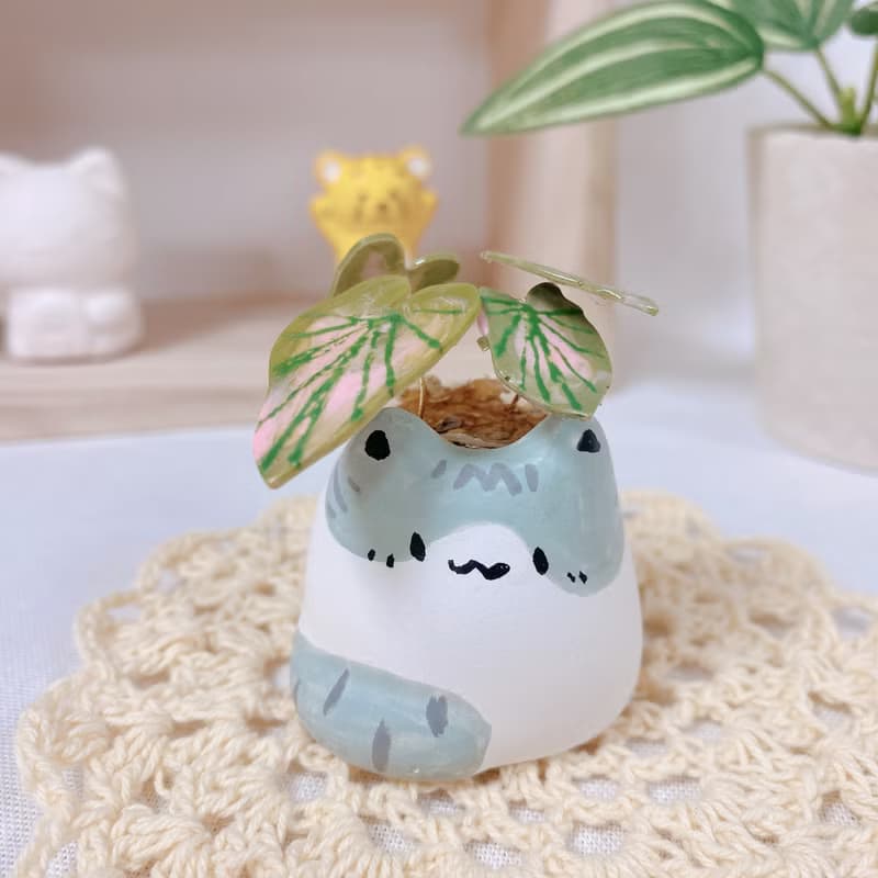 植喵系列  彩葉芋喵