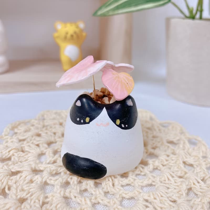 植喵系列  彩葉芋喵