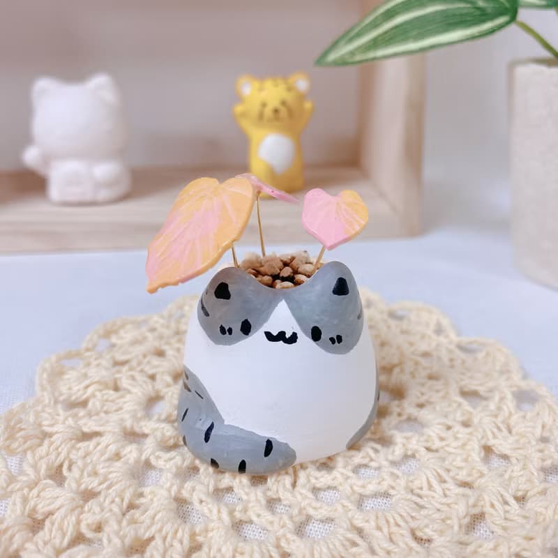 植喵系列  彩葉芋喵