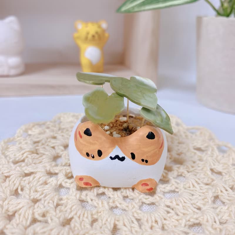 植喵系列  彩葉芋喵