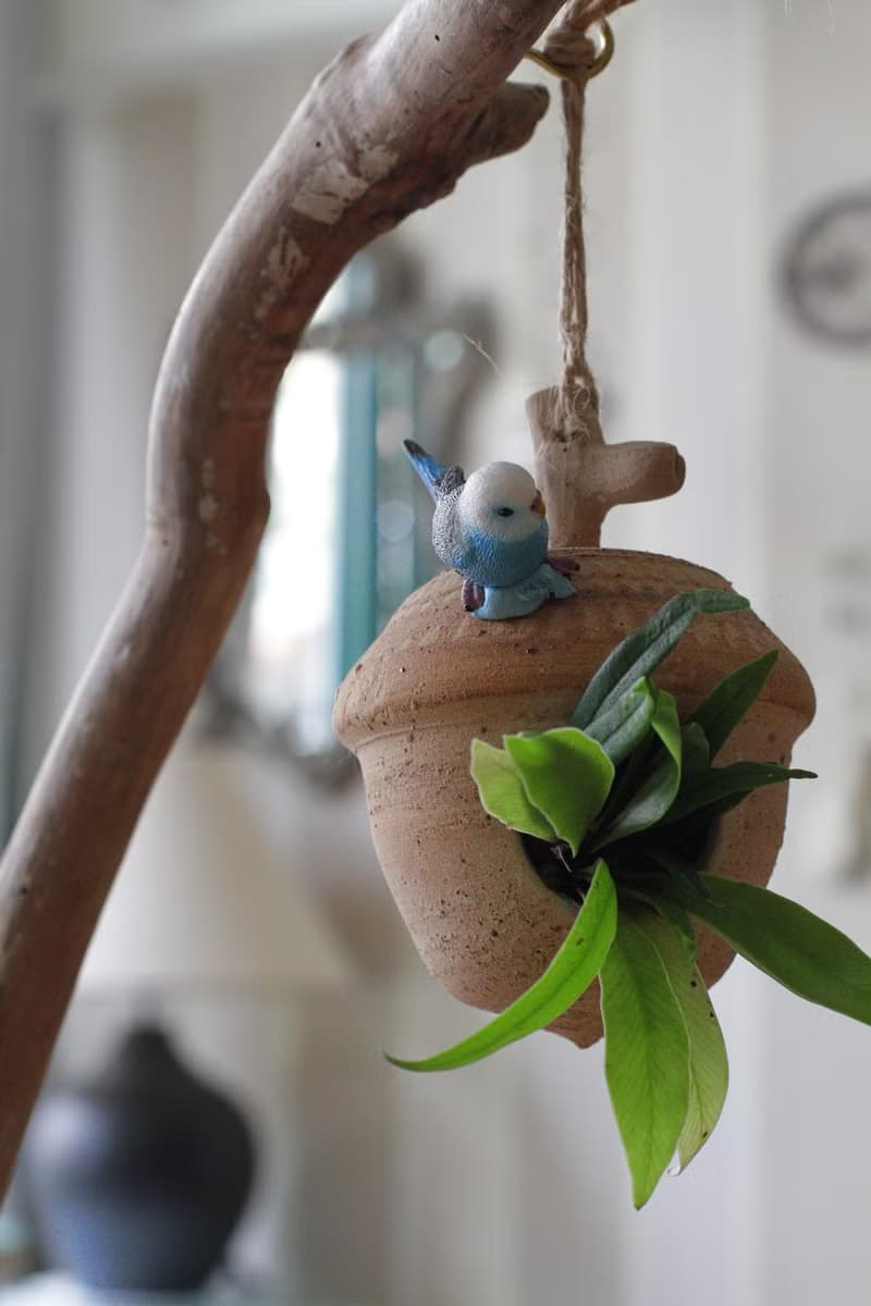 純手工橡實造型花器/吊飾2