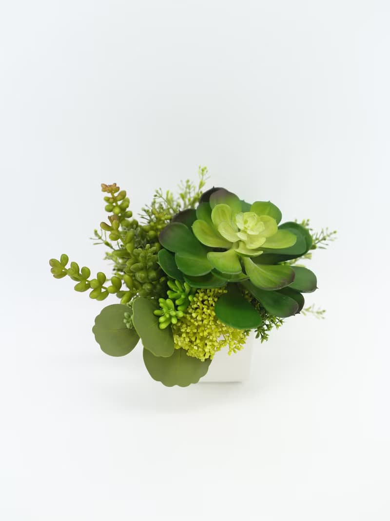 多肉盆栽 / 寶石蓮沙漠丁香 / 擬真植栽 / 香氛植栽 / 禮物