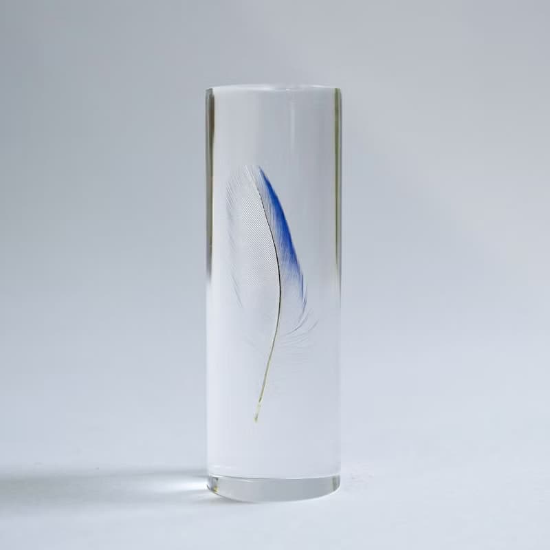 鳥類羽毛標本 虎皮鸚鵡 (藍色)