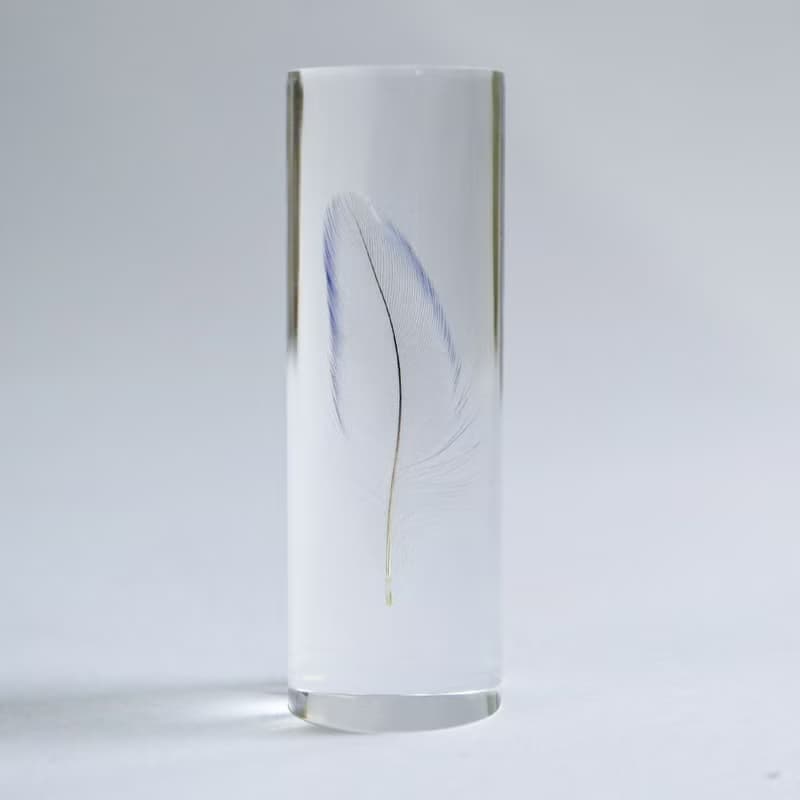 鳥類羽毛標本 虎皮鸚鵡 (藍色)