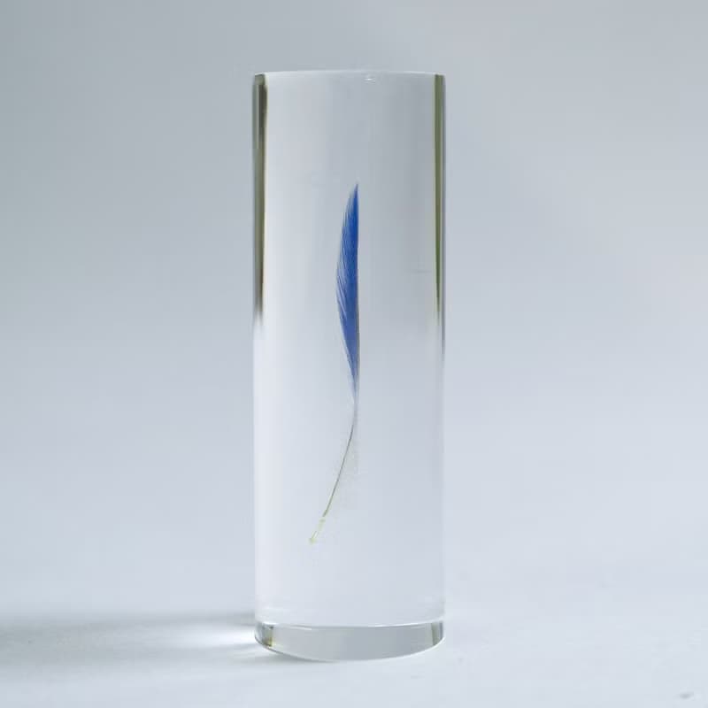 鳥類羽毛標本 虎皮鸚鵡 (藍色)