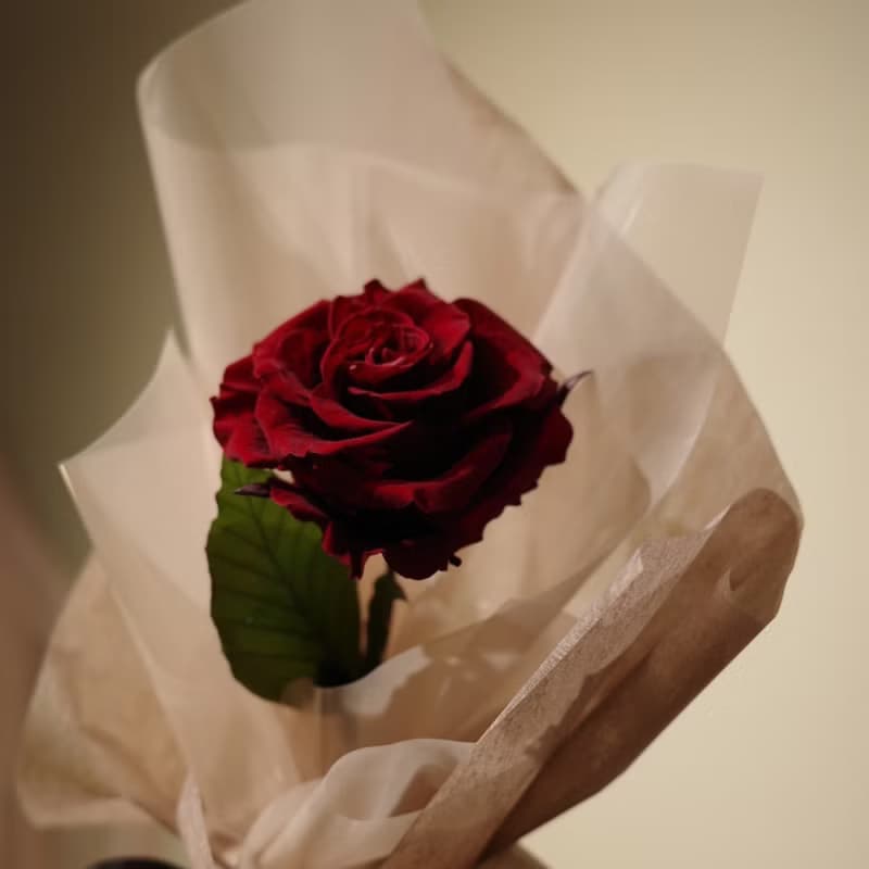 【遇見恆久】一心一意單朵進口永生玫瑰花束 情人節花束 共4款