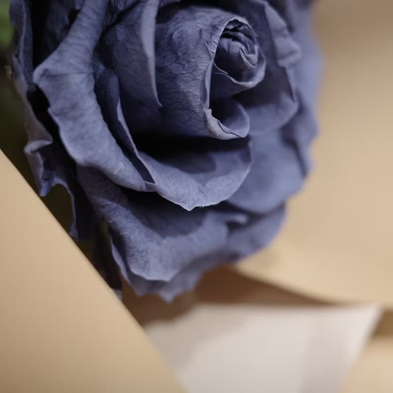 【遇見恆久】一心一意單朵進口永生玫瑰花束 情人節花束 共4款