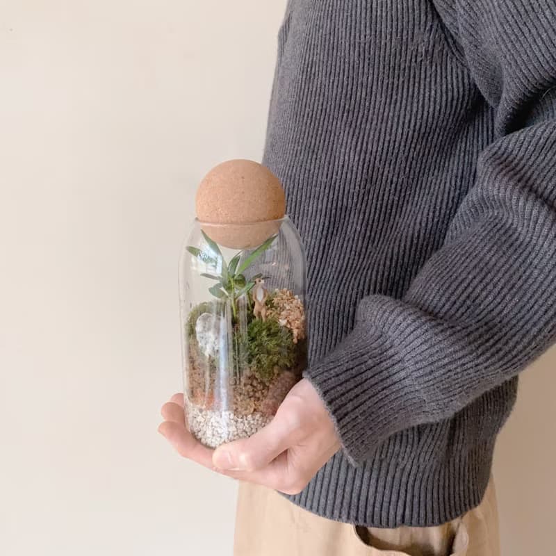 苔蘚微景觀玻璃罐