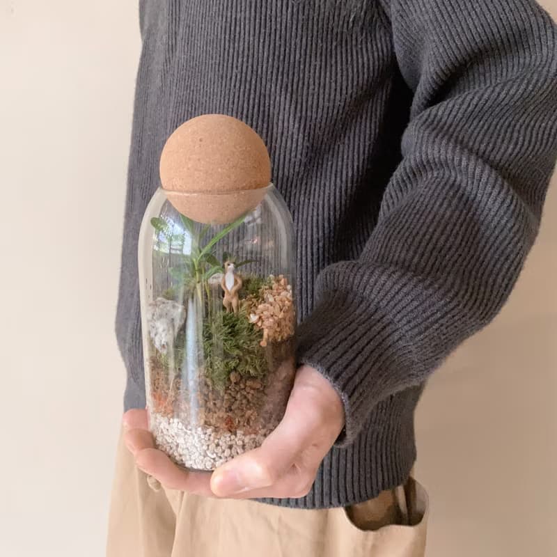 苔蘚微景觀玻璃罐