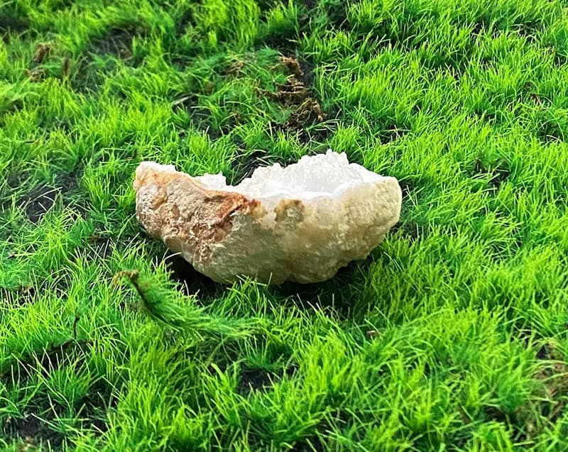 天然原礦可愛冰雪瑪瑙白晶簇 消磁淨化 療癒 開運 淨化 原礦