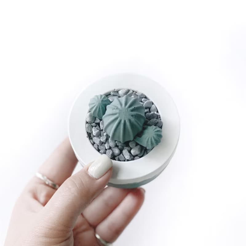 (預購) 莫蘭迪綠系列 | 仙人掌造型水泥擴香石組 辦公室懶人植栽