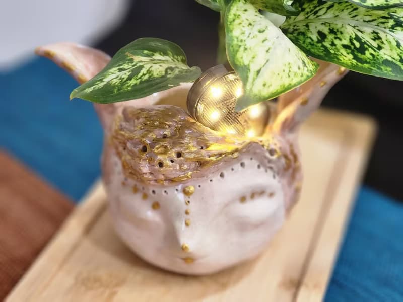 O唯一O長耳女王森林精靈*陶製套盆*開幕.新居.升遷.生日.盆栽賀禮