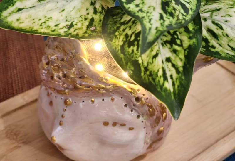 O唯一O長耳女王森林精靈*陶製套盆*開幕.新居.升遷.生日.盆栽賀禮