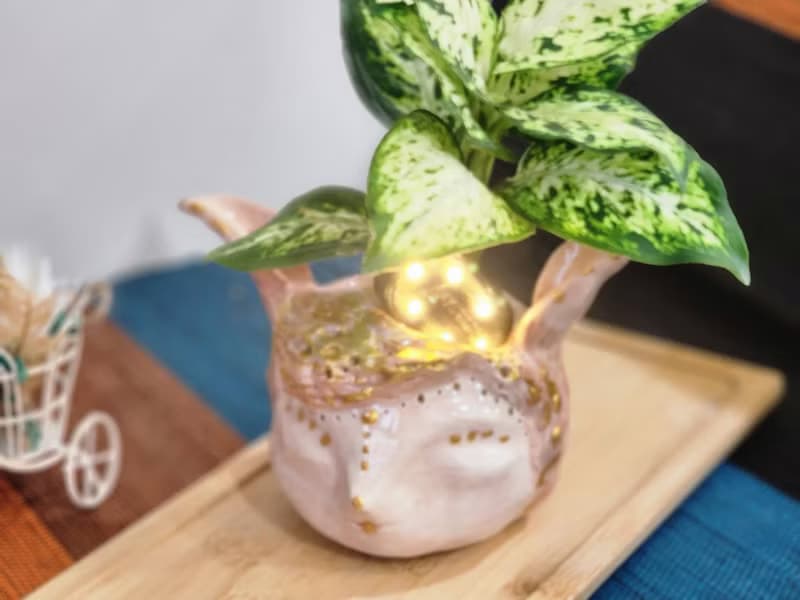 O唯一O長耳女王森林精靈*陶製套盆*開幕.新居.升遷.生日.盆栽賀禮