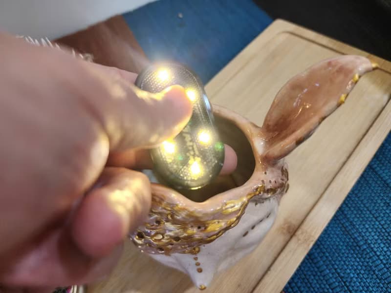 O唯一O長耳女王森林精靈*陶製套盆*開幕.新居.升遷.生日.盆栽賀禮