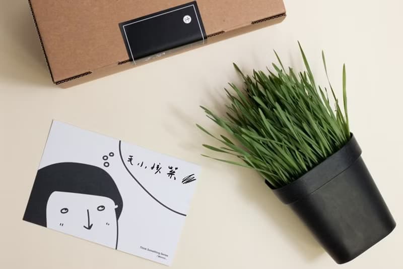 小麥草+貓薄荷|貓小孩特餐組合