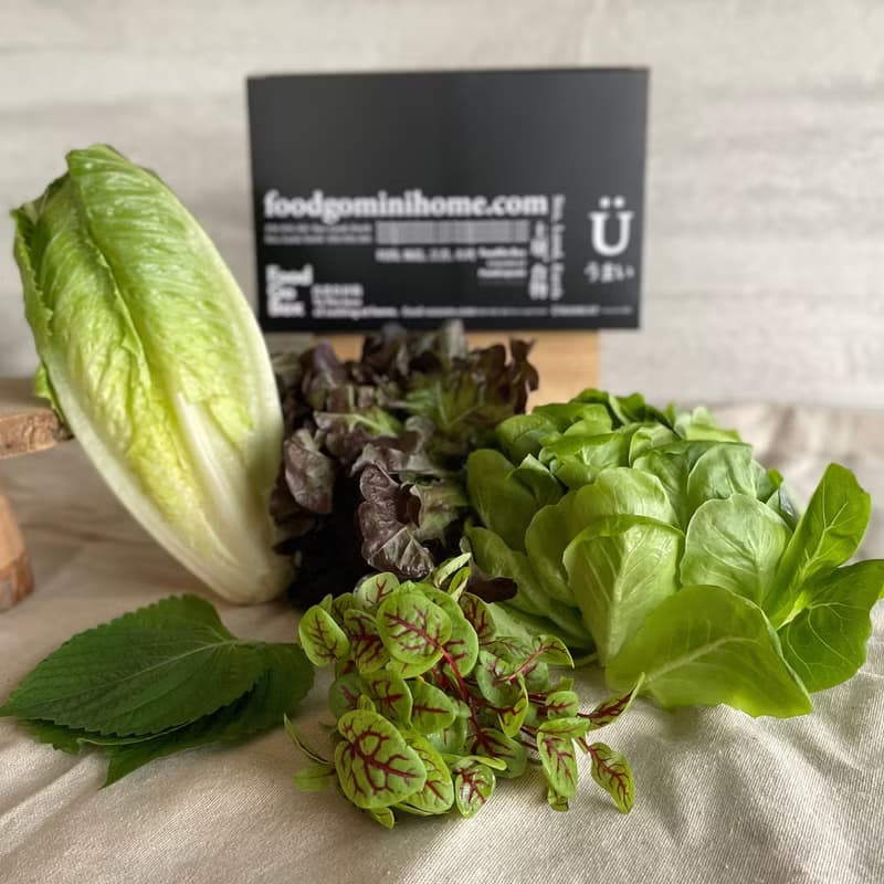 【防疫蔬菜箱】包肉生菜篇