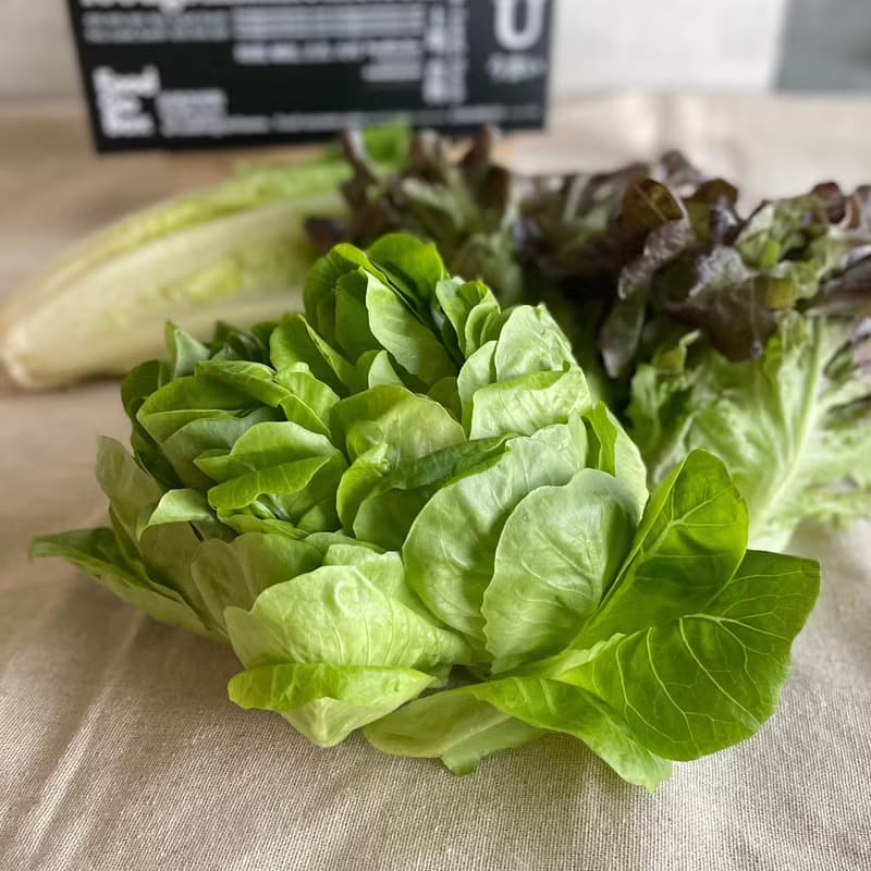 【防疫蔬菜箱】包肉生菜篇