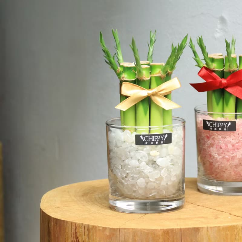 【好運系列】桌上開運竹－淨化磁場白水晶