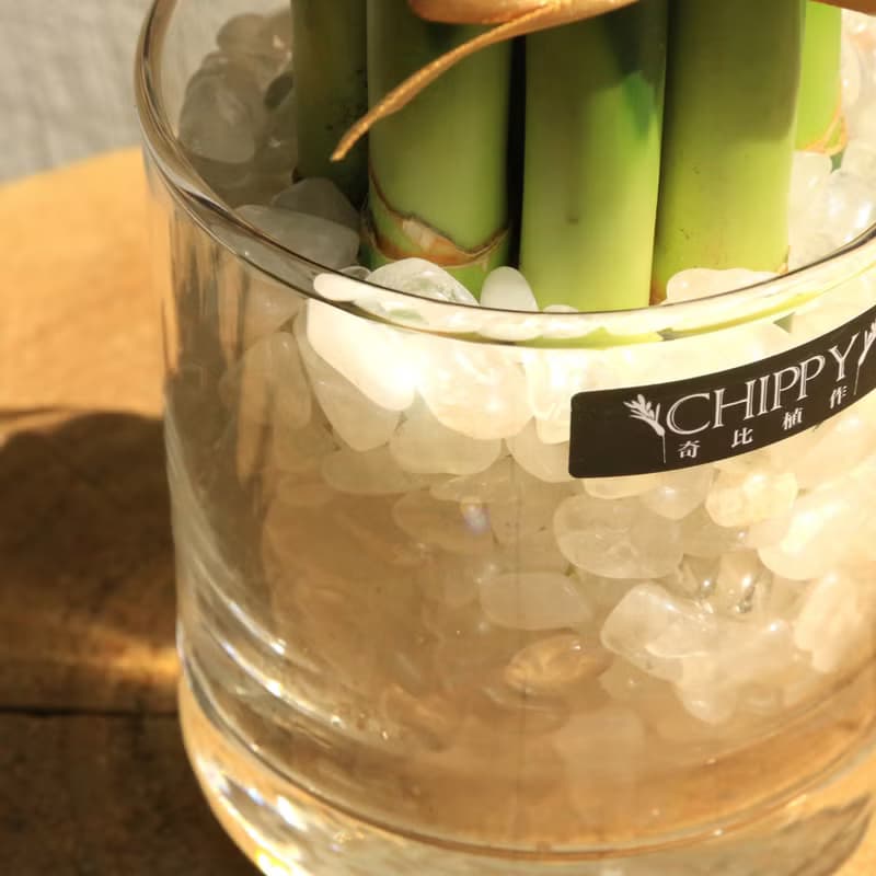 【好運系列】桌上開運竹－淨化磁場白水晶