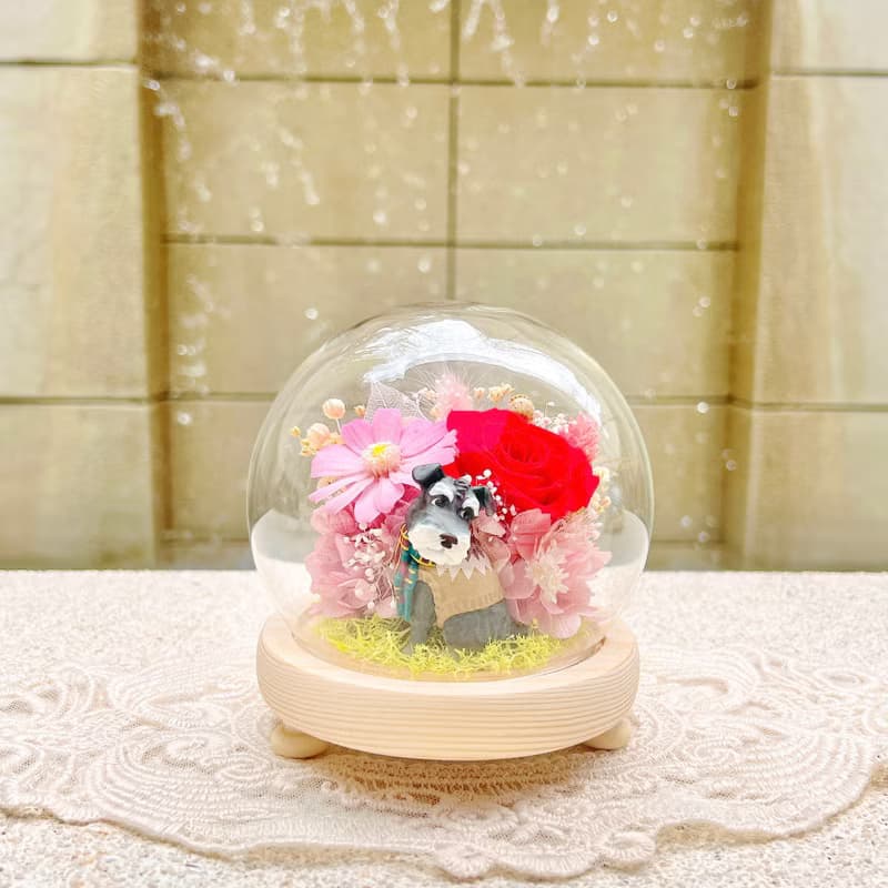 時尚狗狗/雪納瑞/永生花/乾燥花/夜燈/玻璃盅/玻璃罩