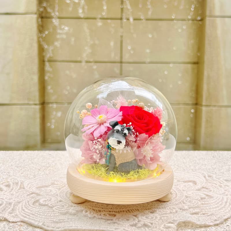 時尚狗狗/雪納瑞/永生花/乾燥花/夜燈/玻璃盅/玻璃罩