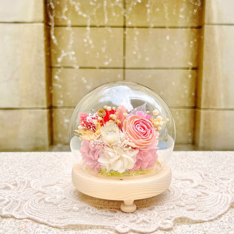 時尚狗狗/雪納瑞/永生花/乾燥花/夜燈/玻璃盅/玻璃罩