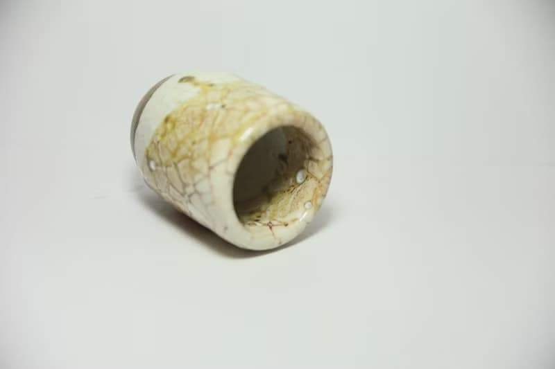 藏菁ㅣ志野杯