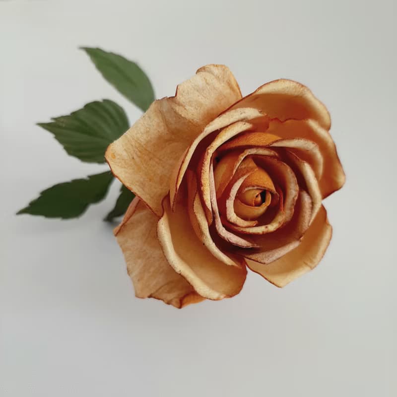 皮革玫瑰長莖 Yellow leather rose long stem 3rd anniversary gift for her, 3rd weddind