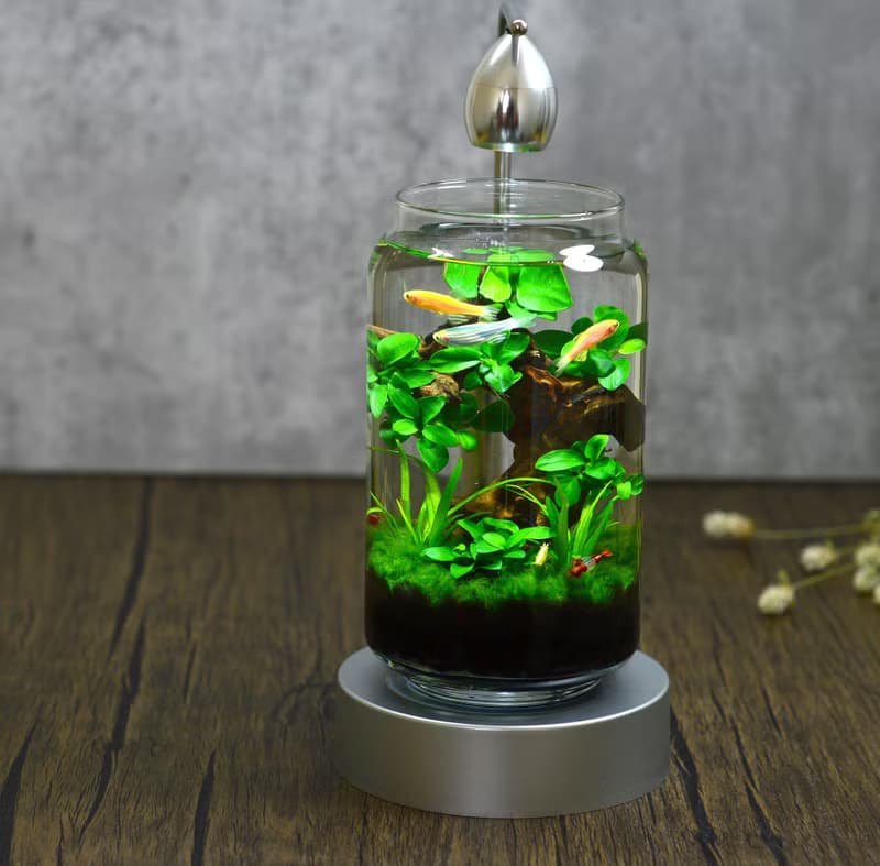 【免運】積木印象活水草生態紓壓魚缸生態瓶【窈窕雅木】
