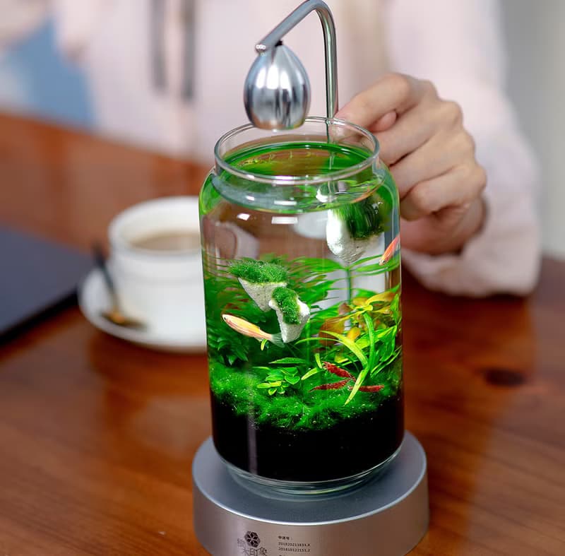 【免運】積木印象活水草生態紓壓魚缸生態瓶【窈窕雅木】
