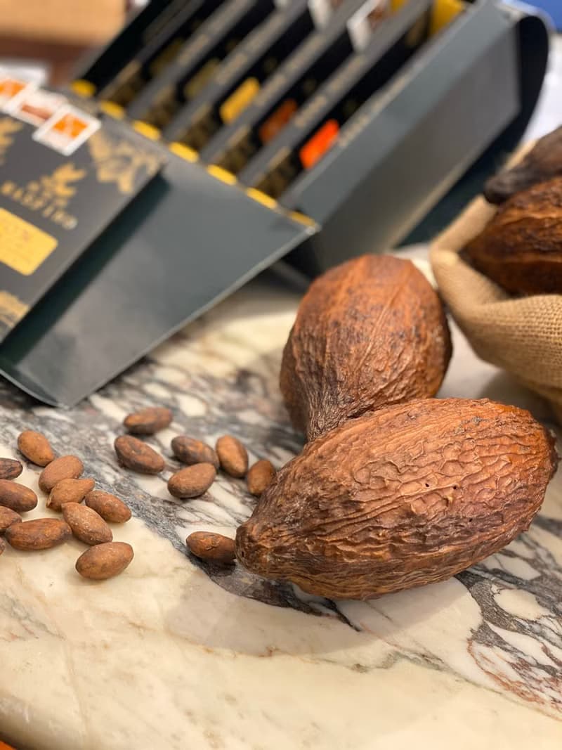 曼斐諾70%可可碎片純黑巧克力 厄瓜度單一產豆