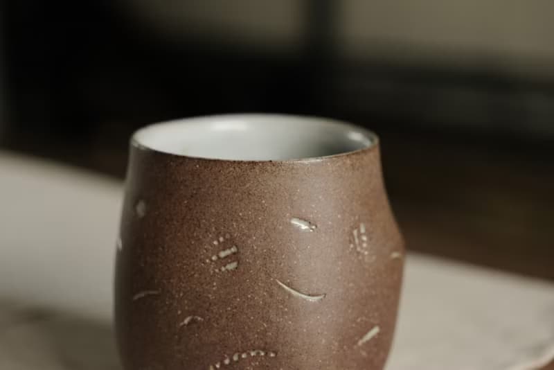 水杯 l 貝殼化石 l 陶杯
