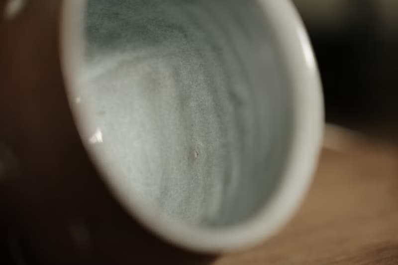 水杯 l 貝殼化石 l 陶杯