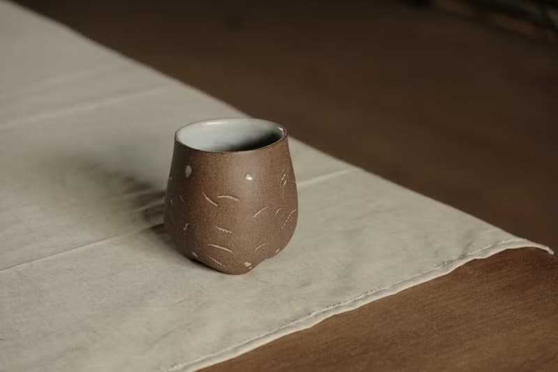 水杯 l 貝殼化石 l 陶杯