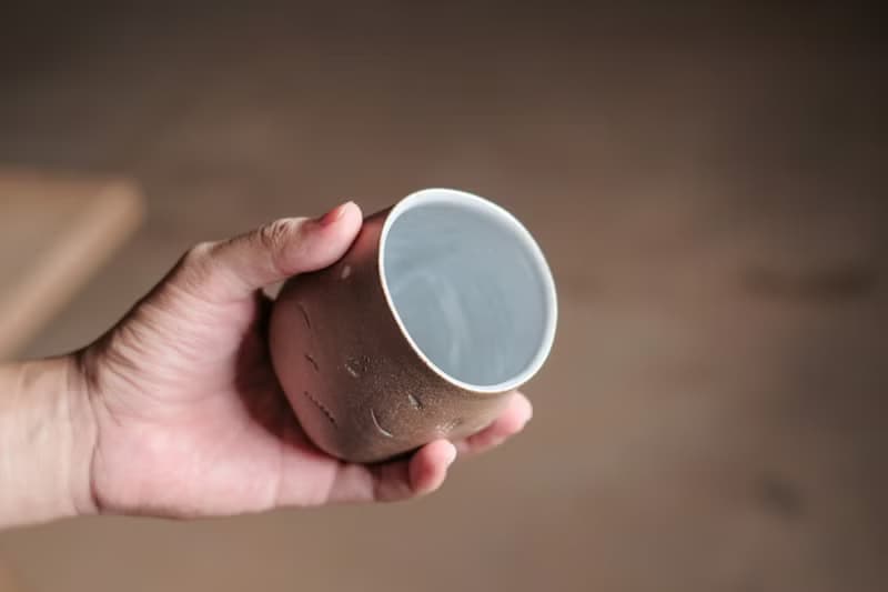 水杯 l 貝殼化石 l 陶杯