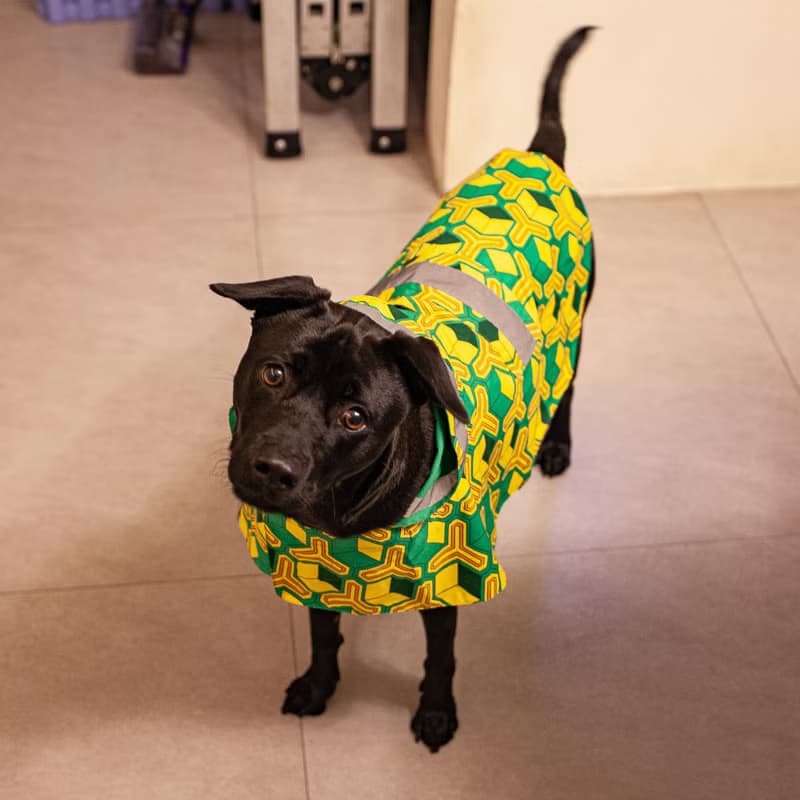 【現貨】 白黑紅花,L_61,毛孩斗蓬雨衣,雙面可穿, 防風防雨