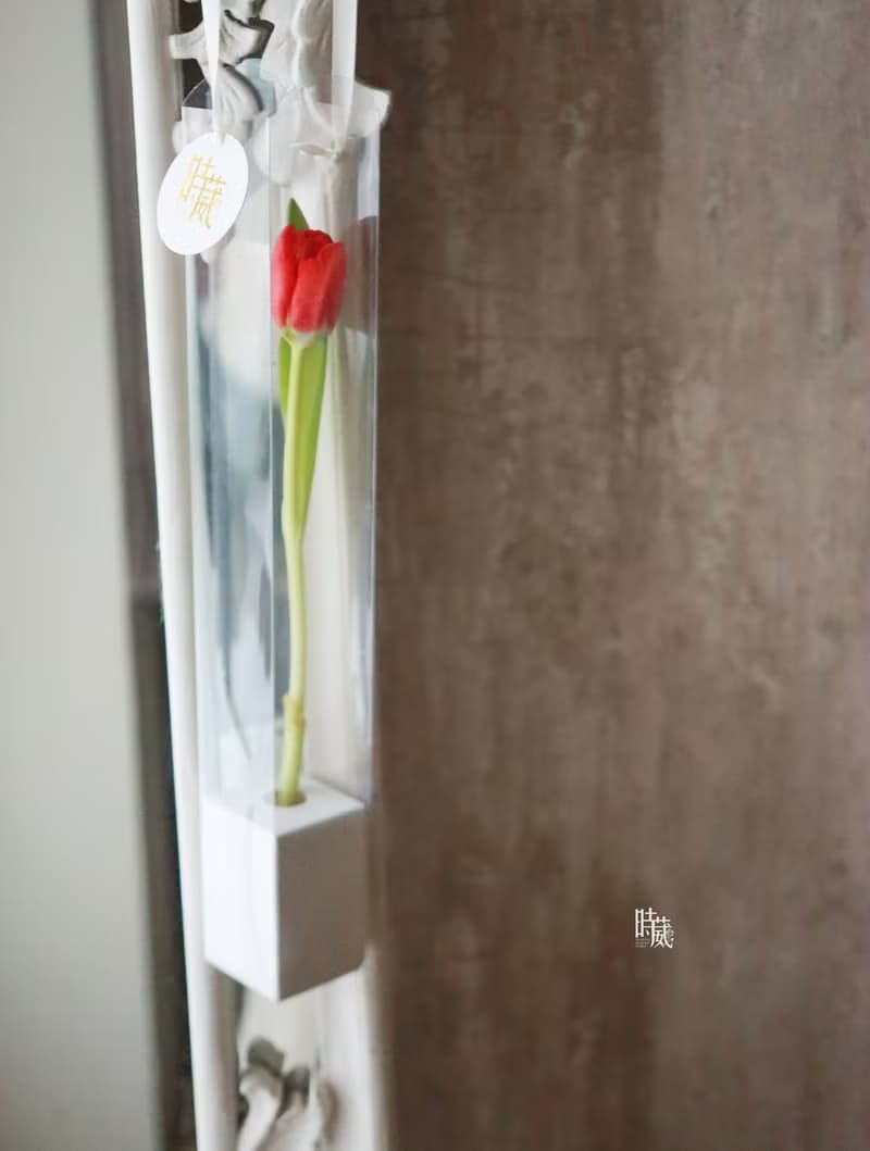 情人節限定 單朵 鬱金香 提盒 鮮花花束 /限台中地區