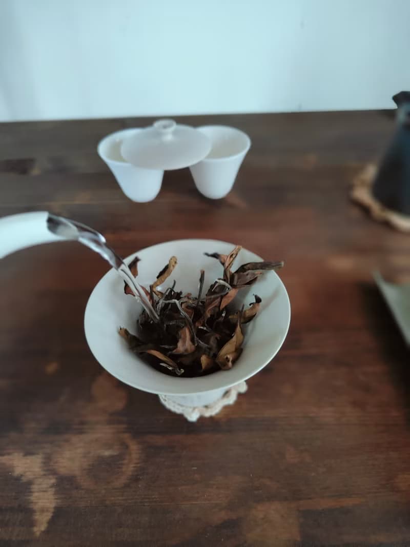 奶白蓋碗與3款獨特茶品